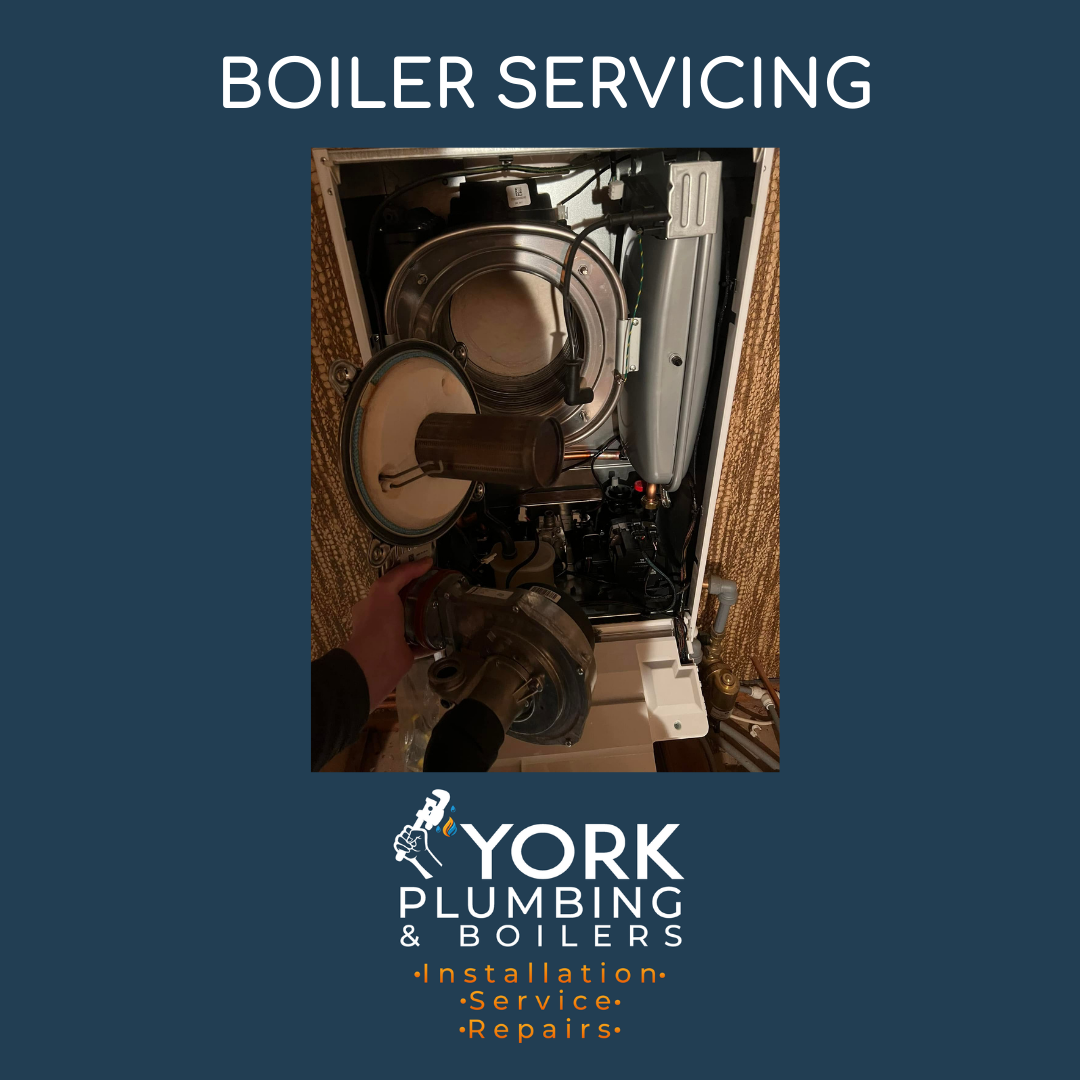 Read more about the article BOILER SERVICING