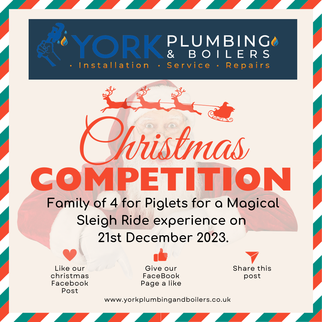 Read more about the article Christmas Competition – 21st December 2023